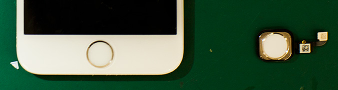 iPhoneのホームボタンと画面（ホームボタン付属）の画像